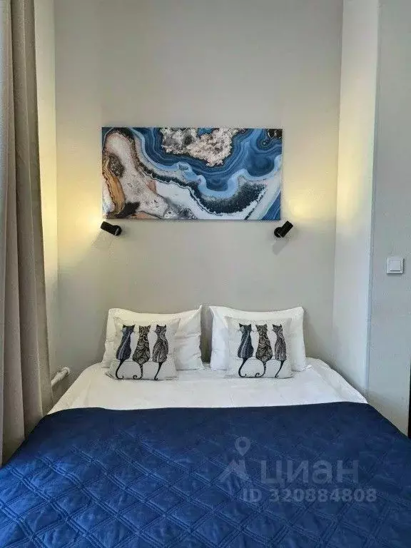 1-к кв. Санкт-Петербург Литейный просп., 61 (15.0 м) - Фото 1