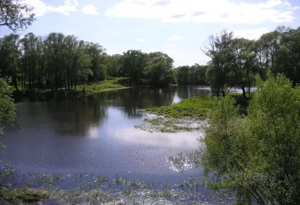 Участок в Калужская область, Перемышльский муниципальный округ, ... - Фото 2