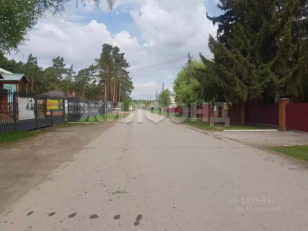 Участок в Новосибирская область, Ордынское рп просп. Революции, 15 ... - Фото 0