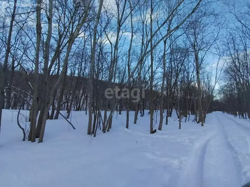Участок в Петропавловск-Камчатский, жилой район Кирпичики (9.9 м) - Фото 1