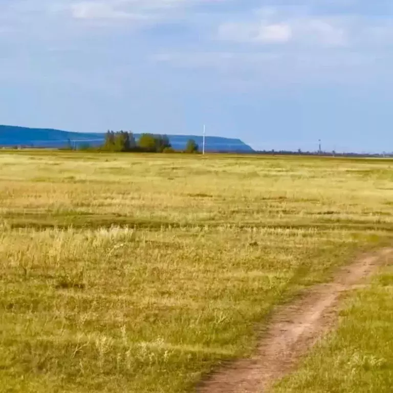 Участок в Саха (Якутия), Якутск городской округ, с. Тулагино  (8.0 ... - Фото 1