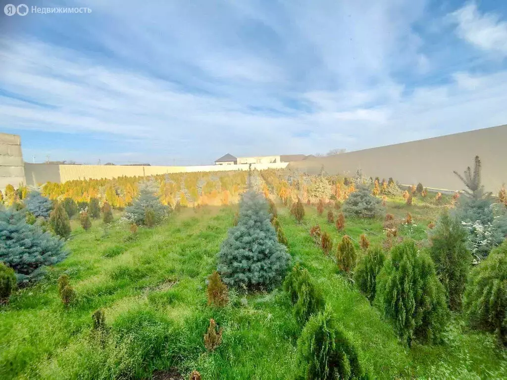 Участок в Баксан, улица Хуранова (12 м) - Фото 2