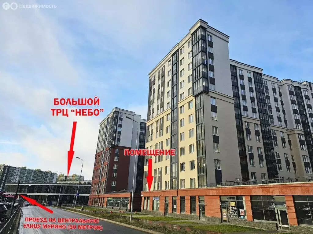 Помещение свободного назначения (60 м) - Фото 2