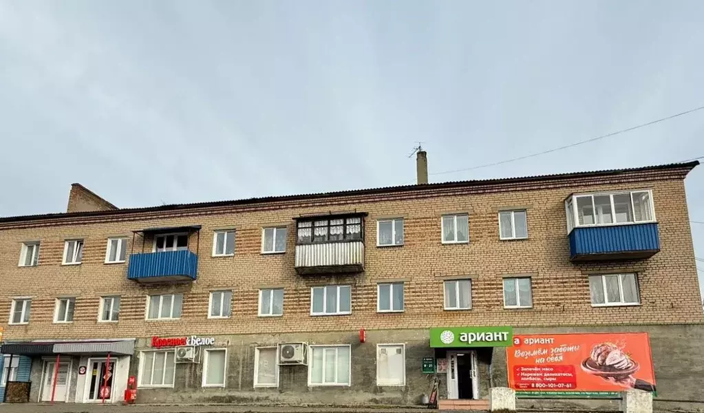 Торговая площадь в Челябинская область, Нязепетровск ул. Щербакова, 11 ... - Фото 1