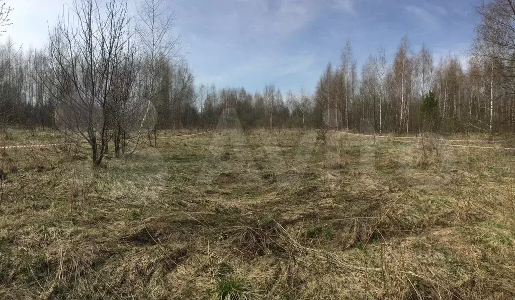 Участок в Тверская область, Кашинский городской округ, д. Перетрясово  ... - Фото 1