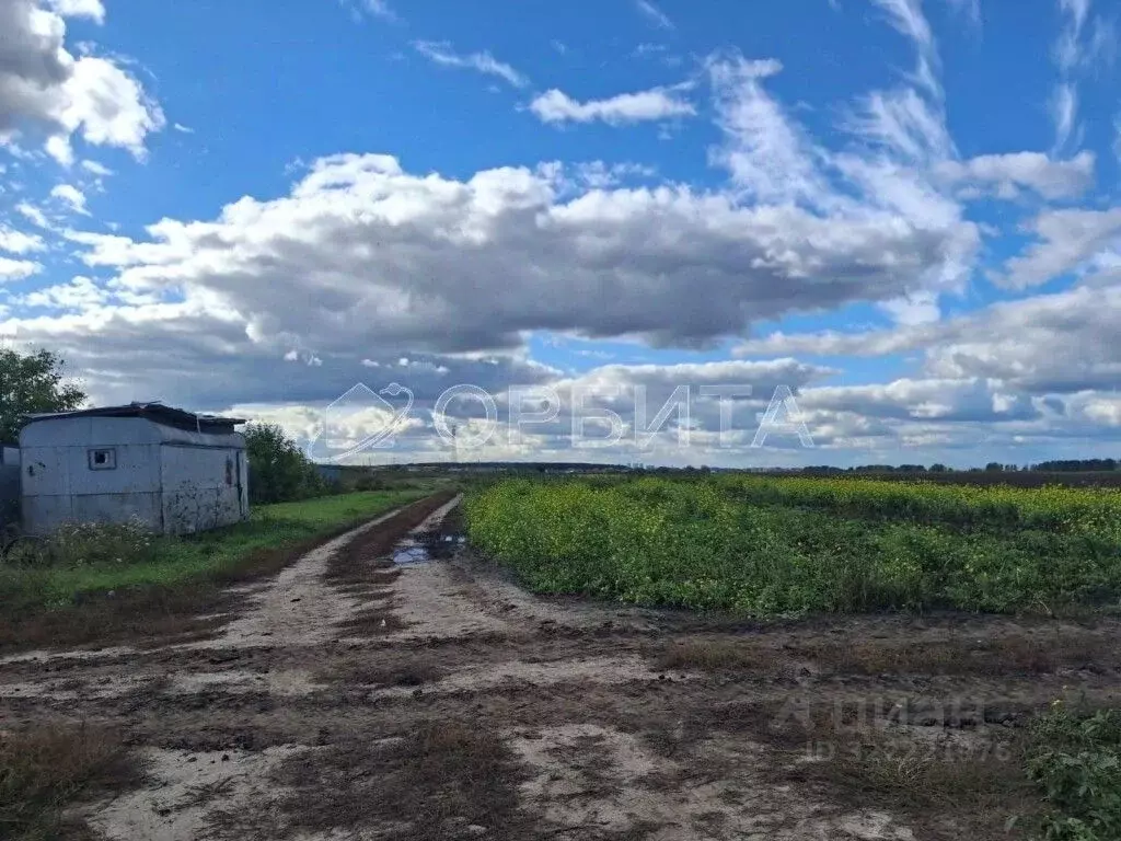 Участок в Тюменская область, Тюменский муниципальный округ, с. Ембаево ... - Фото 1