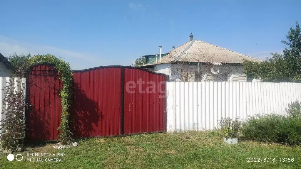 Дом в Белгородская область, Вейделевский район, с. Долгое ул. ... - Фото 0