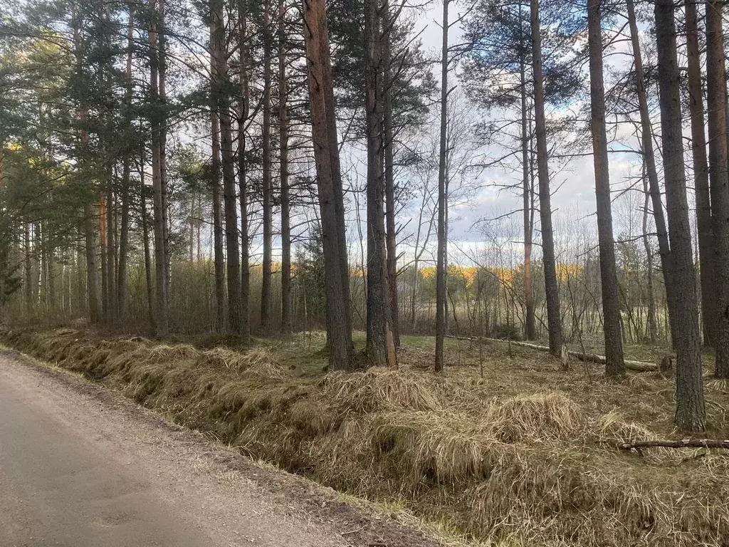 Участок в Ленинградская область, Выборгский район, Полянское с/пос, ... - Фото 1