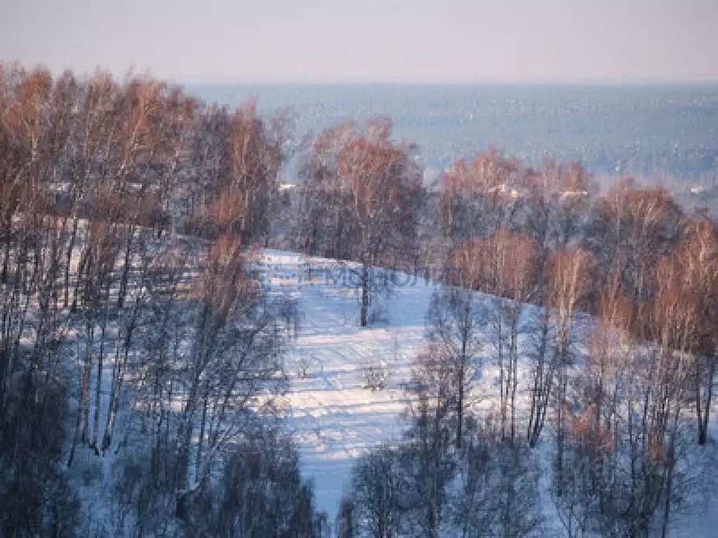 Участок в Нижегородская область, Богородский муниципальный округ, д. ... - Фото 1