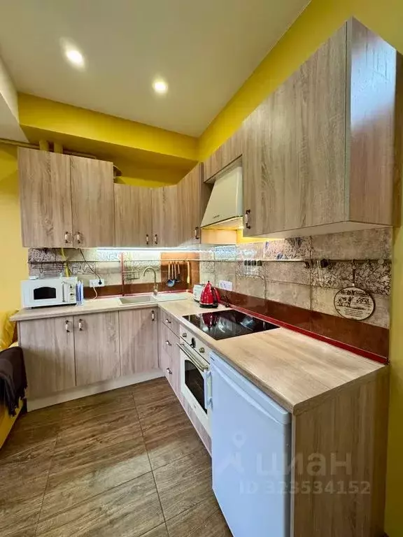 2-к кв. Краснодарский край, Сочи Красная Поляна пгт, ул. Турчинского, ... - Фото 2