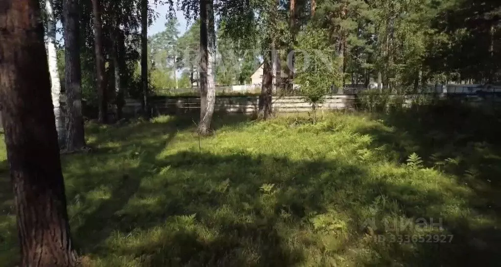 Участок в Алтай, Турочакский район, с. Озеро-Куреево Центральная ул., ... - Фото 1