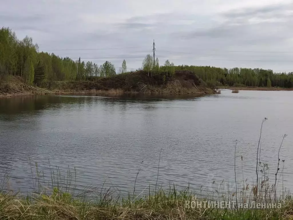Участок в Ярославская область, Рыбинский муниципальный округ, д. ... - Фото 1