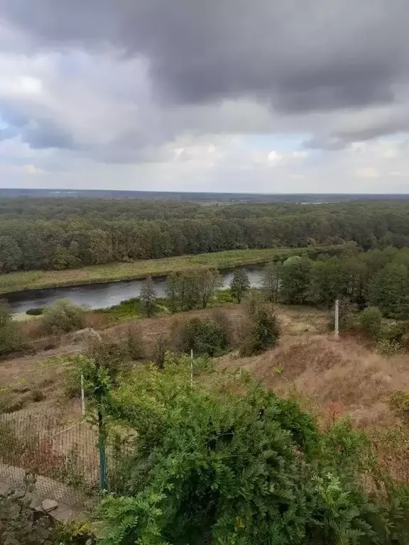 Участок в Ленинградская область, Тосненский район, Любанское городское ... - Фото 0