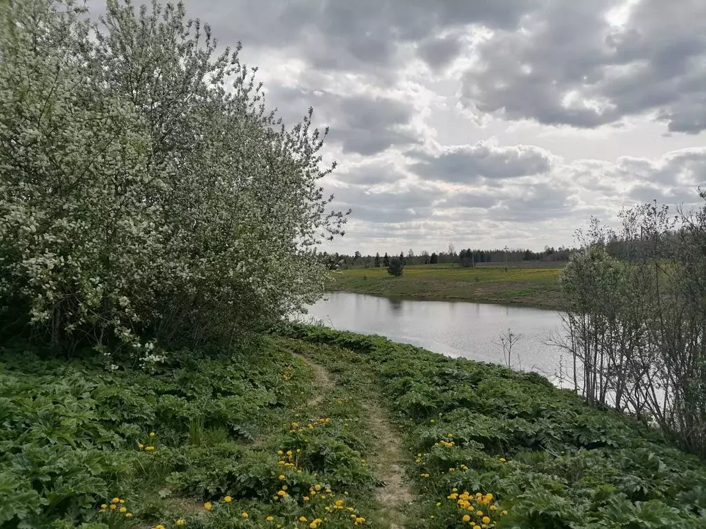 Участок в Ленинградская область, Тосненское городское поселение, д. ... - Фото 0
