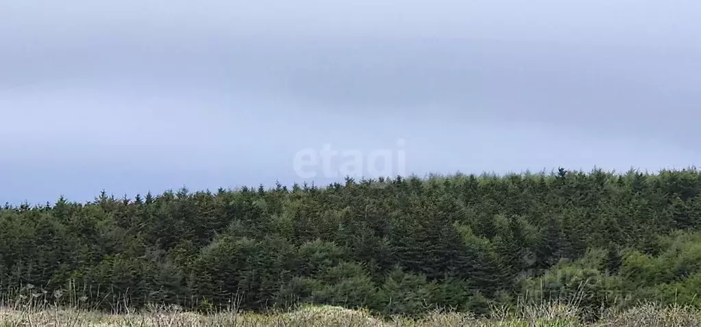 Участок в Сахалинская область, Корсаковский городской округ, с. ... - Фото 0