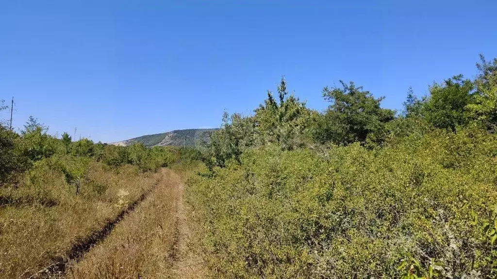 Участок в Крым, Кировский район, Первомайское с/пос, Заря СНТ ул. ... - Фото 1