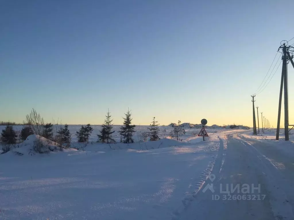 Участок в Ленинградская область, Ломоносовский район, Ропшинское ... - Фото 2