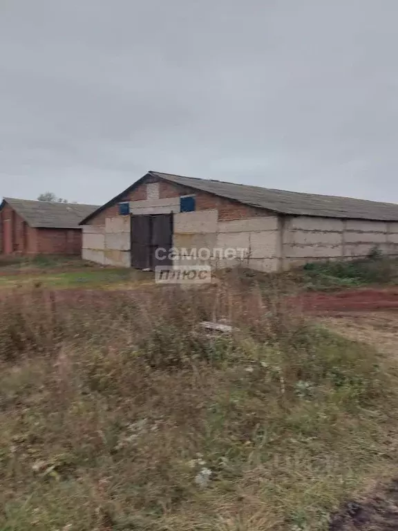 Склад в Курская область, Щигровский район, Касиновский сельсовет, д. ... - Фото 2