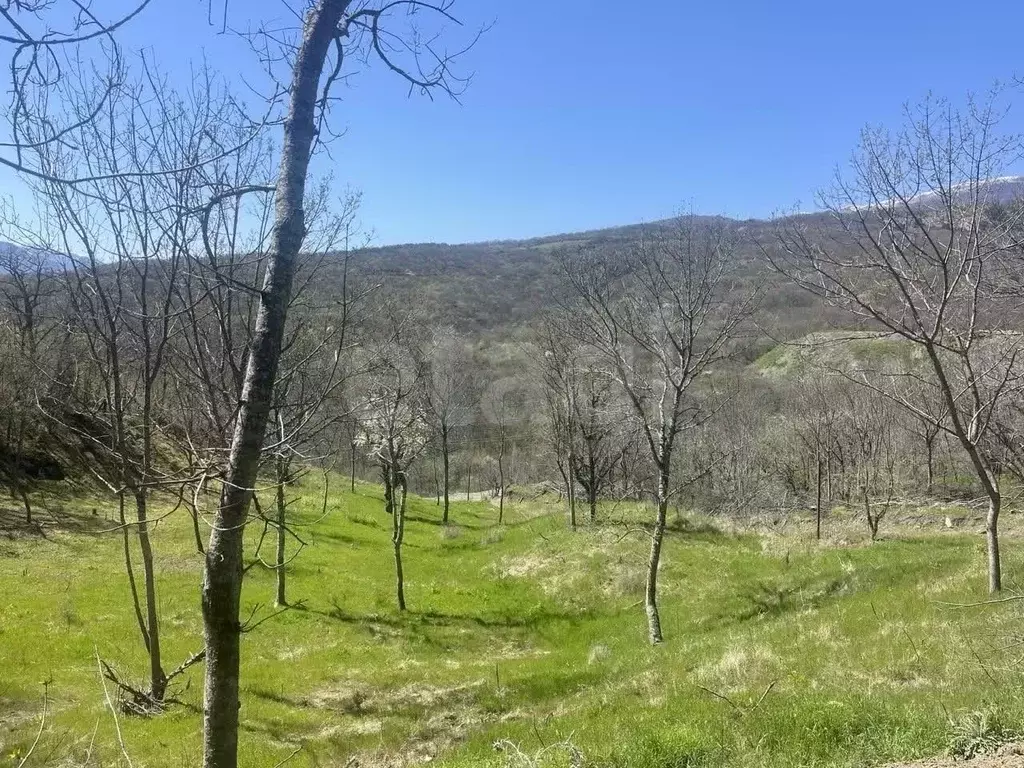 Участок в Крым, Алушта муниципальный округ, с. Лучистое пер. Грушевый ... - Фото 2