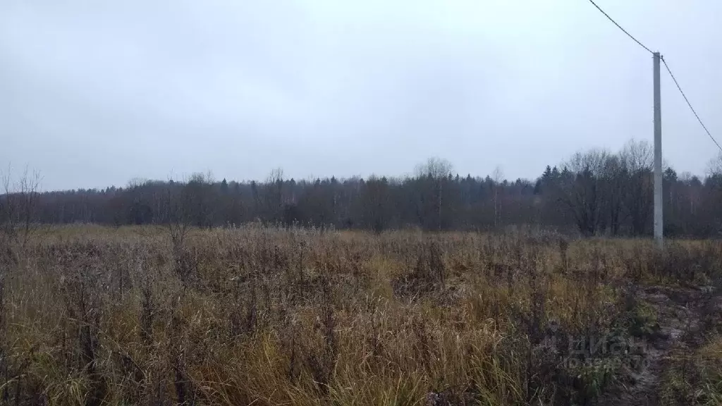 Участок в Владимирская область, Александровский район, с. Бакшеево  ... - Фото 0