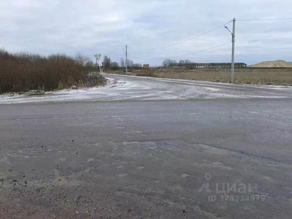 Участок в Псковская область, Псковский муниципальный округ, Тямшанская ... - Фото 2