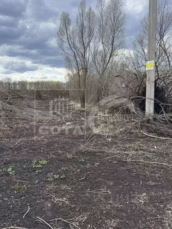 Участок в Воронежская область, с. Новая Усмань  (9.0 сот.) - Фото 0