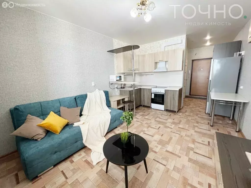 Квартира-студия: село Засечное, Олимпийская улица, 10 (28 м) - Фото 1