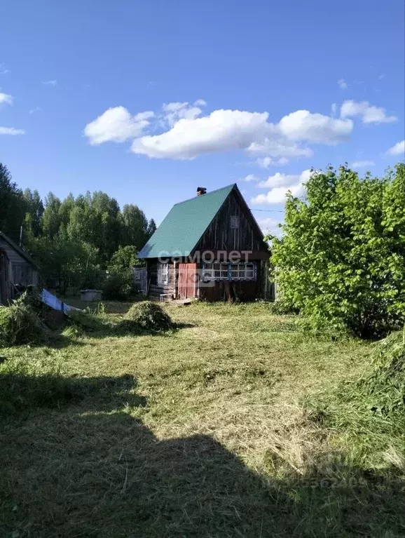 Участок в Марий Эл, Оршанский район, Шулкинское с/пос, Павловский ... - Фото 1