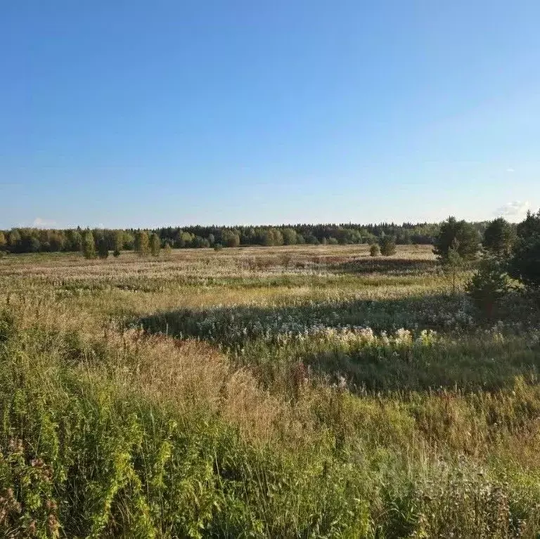 Участок в Свердловская область, Режевской муниципальный округ, с. ... - Фото 2