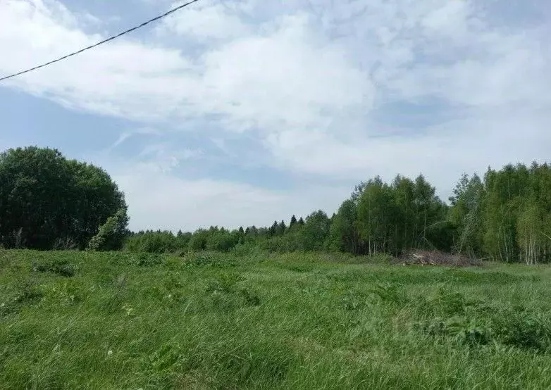 Участок в Московская область, Дмитровский муниципальный округ, пос. ... - Фото 1