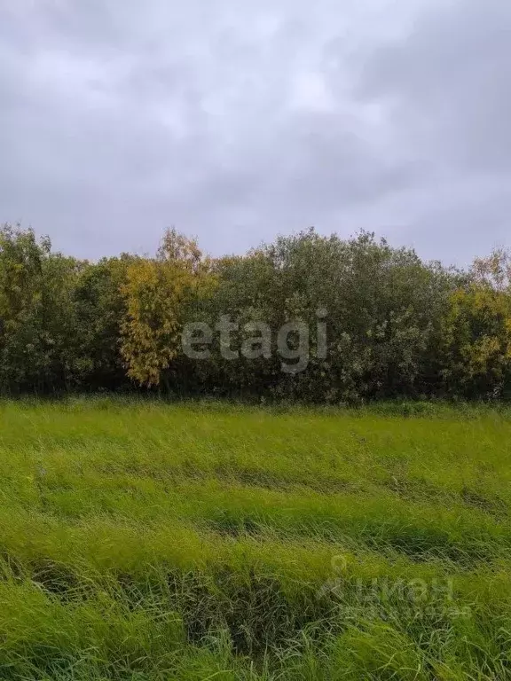 Участок в Ханты-Мансийский АО, Ханты-Мансийского муниципального района ... - Фото 2