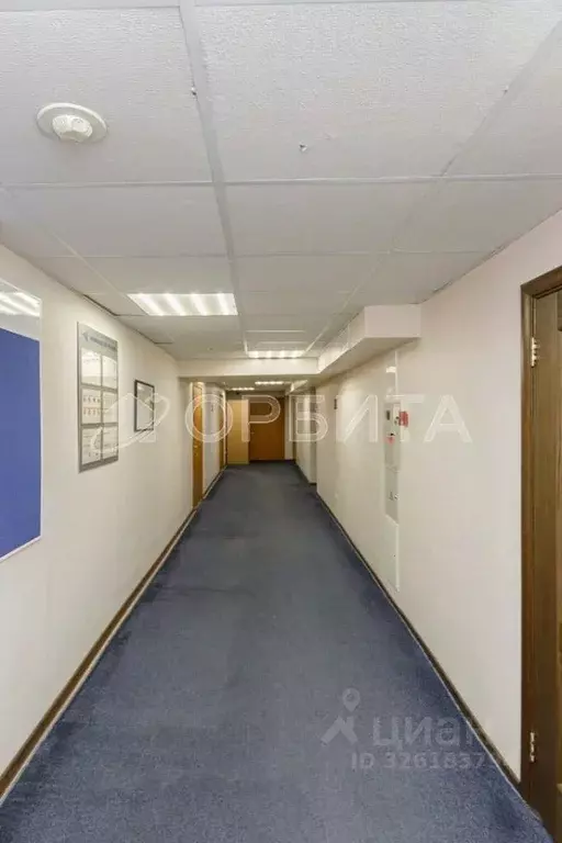 Офис в Тюменская область, Тюмень Олимпийская ул., 9/3 (330 м) - Фото 1