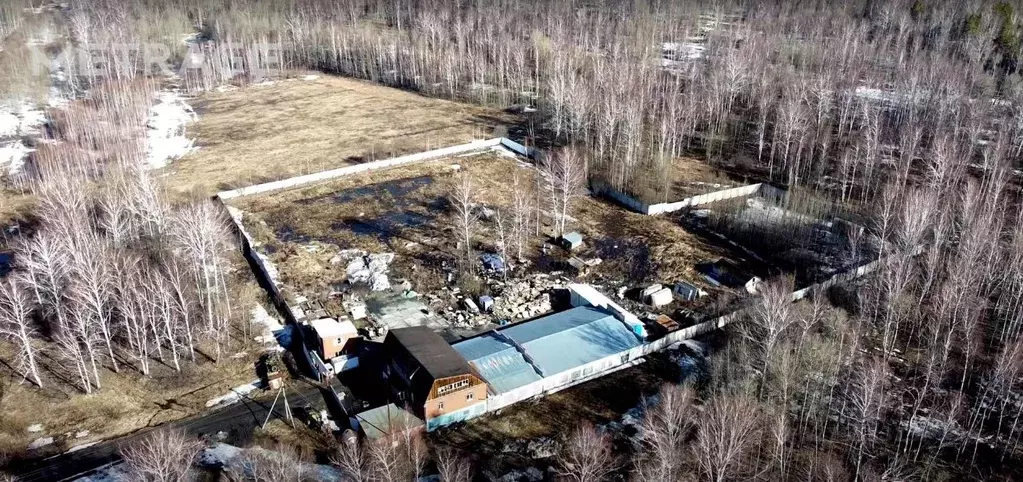 Склад в Новосибирская область, Мошковский район, Сокурский сельсовет 2 ... - Фото 2