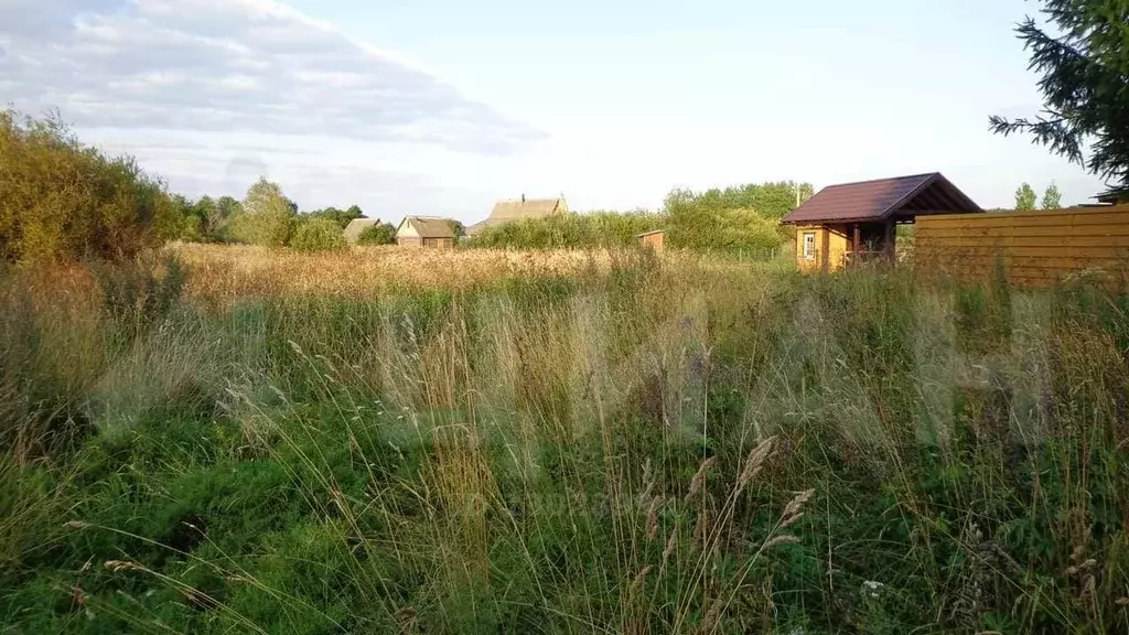 Куплю Участок В Псковском Районе Недорого