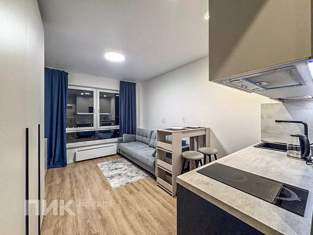 Студия Московская область, Одинцово ул. Березовая, 2 (19.8 м) - Фото 1