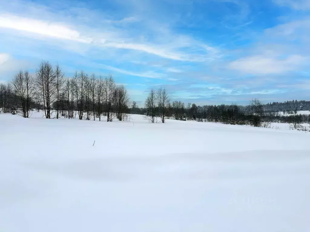 Участок в Московская область, Дмитровский муниципальный округ, ... - Фото 1
