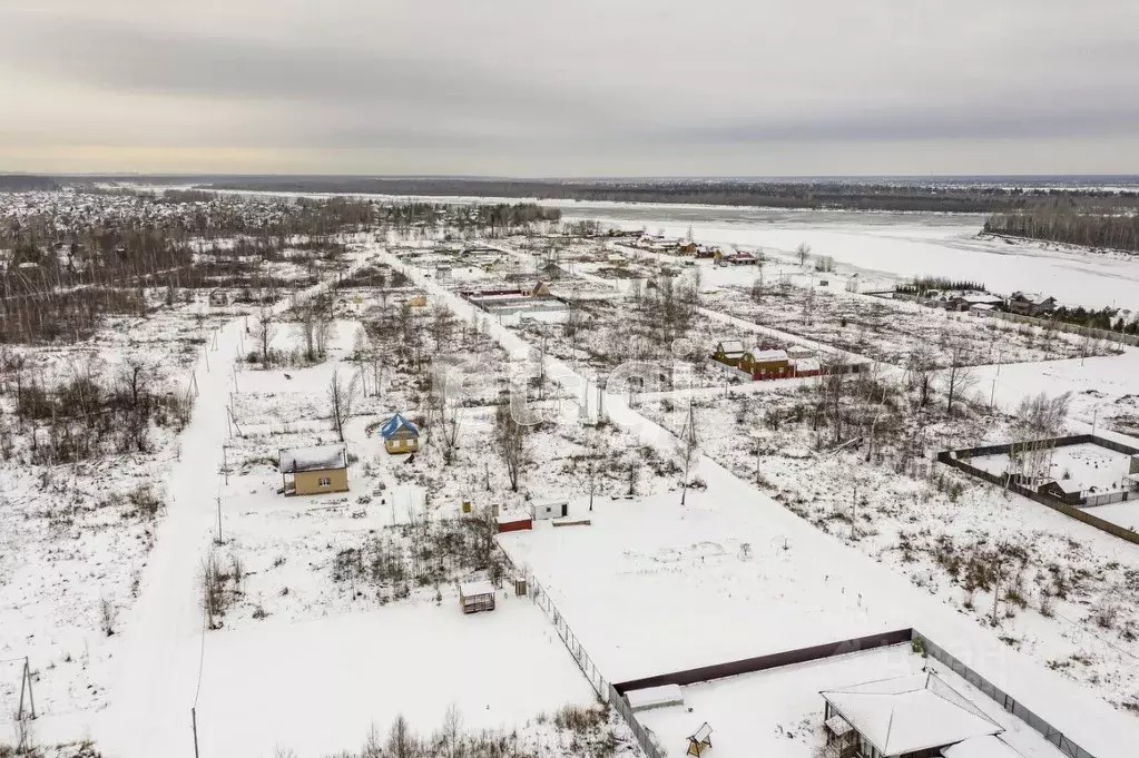 Участок в Новосибирская область, Новосибирский район, Кубовинский ... - Фото 1