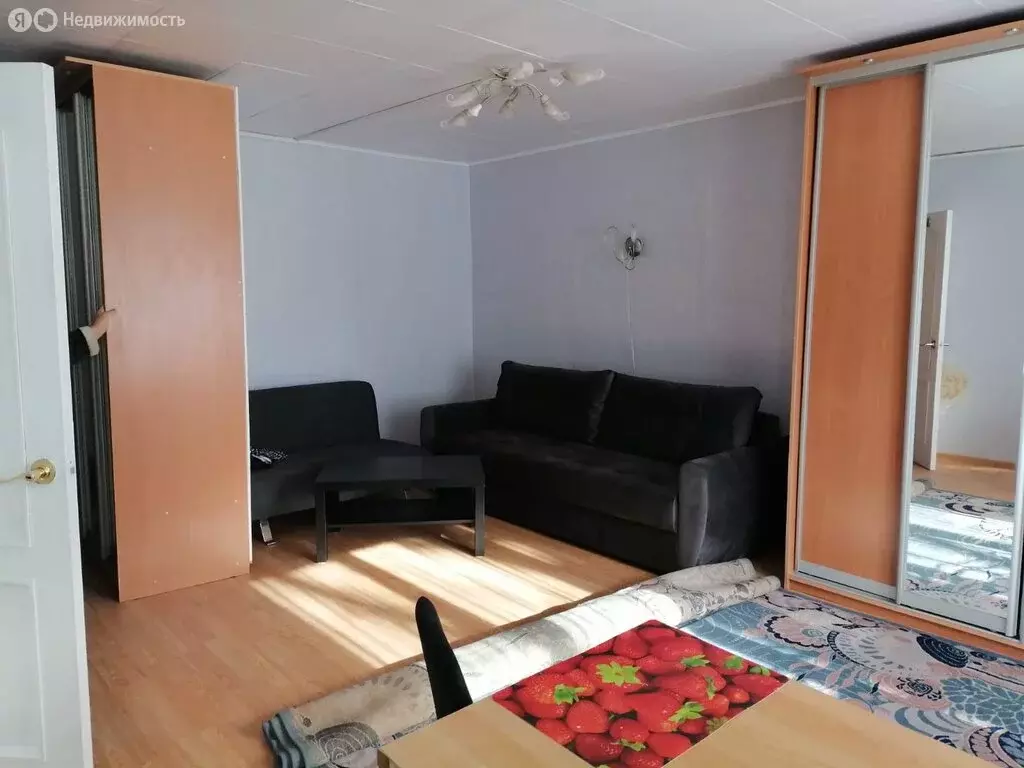 Квартира-студия: Троицк, Центральная улица, 12А (30 м) - Фото 1