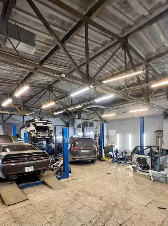 Помещение свободного назначения в Москва проезд Добролюбова, 3С2 (100 ... - Фото 1