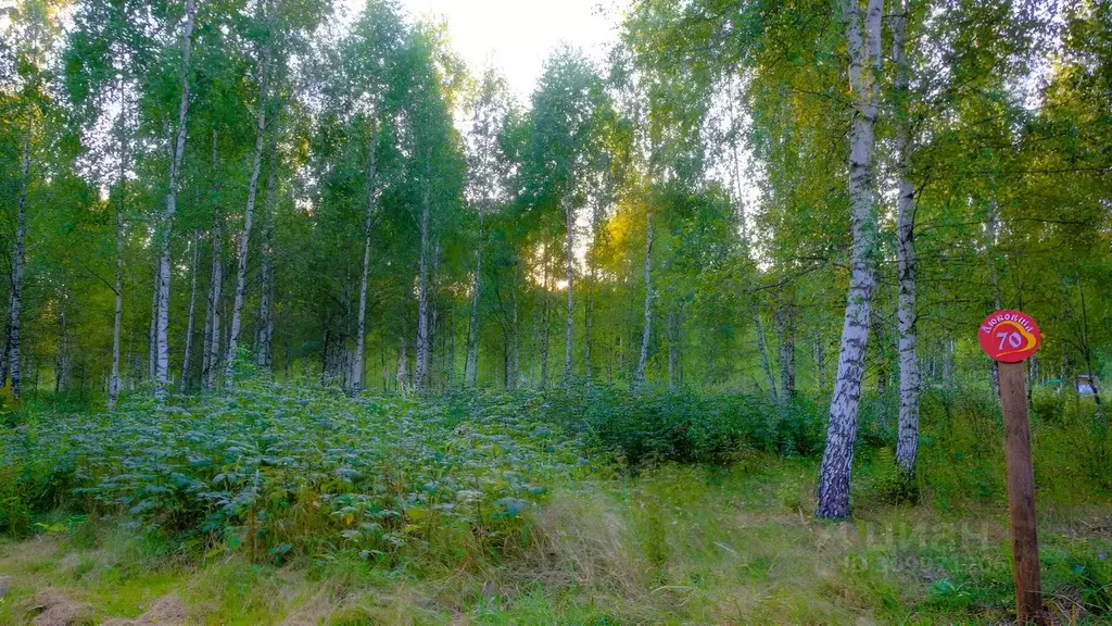 Участок в Тульская область, Заокский район, Демидовское муниципальное ... - Фото 1