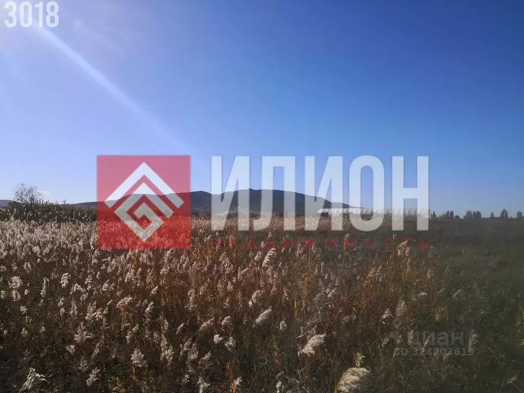 Участок в Крым, Кировский район, Абрикосовское с/пос, с. Кринички ул. ... - Фото 2