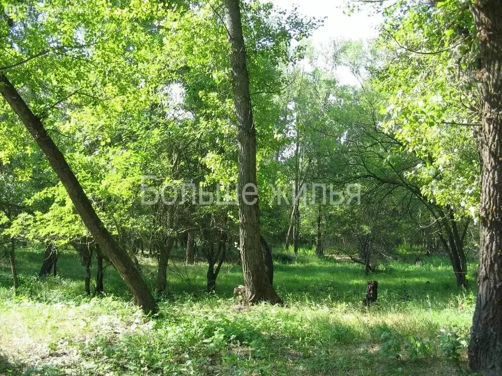 Участок в Фрунзенское сельское поселение, хутор Сахарный, улица ... - Фото 0
