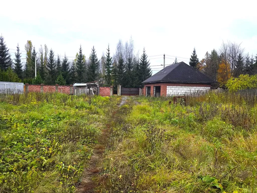 Участок в Московская область, Истра муниципальный округ, д. Борзые ул. ... - Фото 1