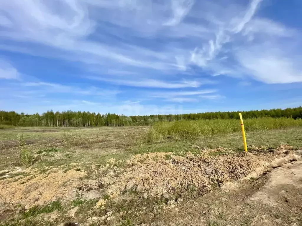 Участок в Смоленская область, Смоленский муниципальный округ, ... - Фото 0