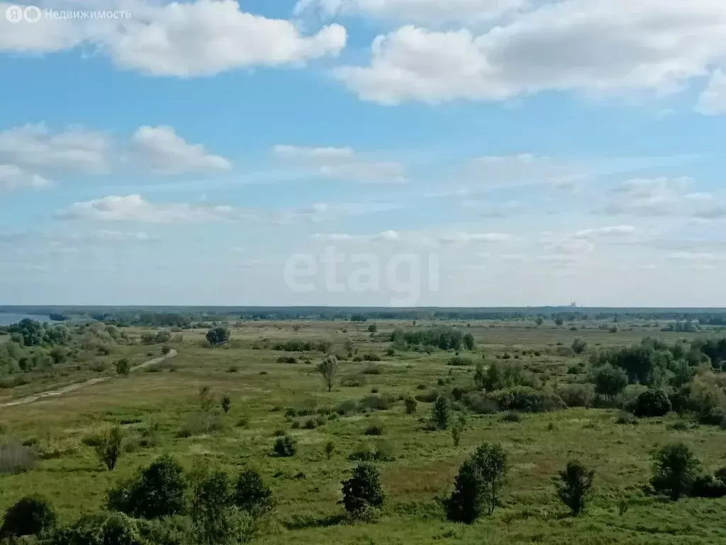 Участок в Владимирская область, округ Муром, село Панфилово (14.8 м) - Фото 1