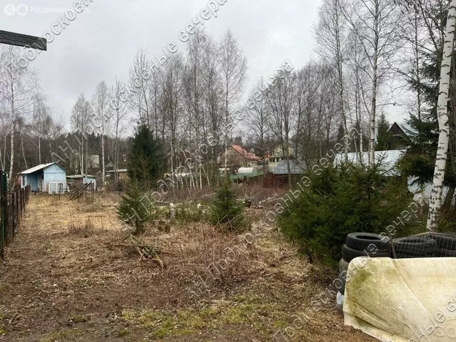 Участок в Одинцовский городской округ, садовое некоммерческое ... - Фото 2