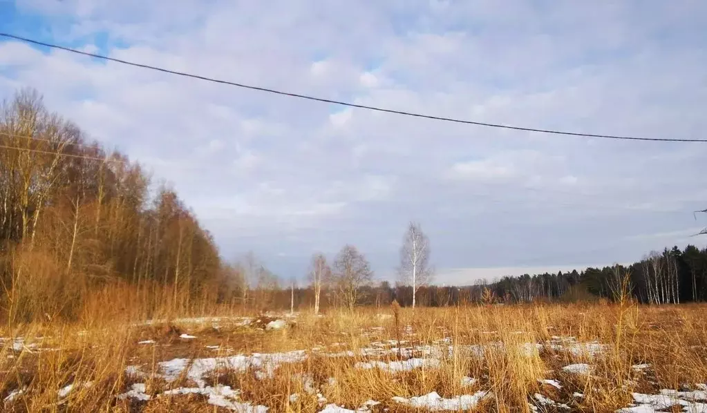 Участок в Московская область, Сергиево-Посадский городской округ, д. ... - Фото 1