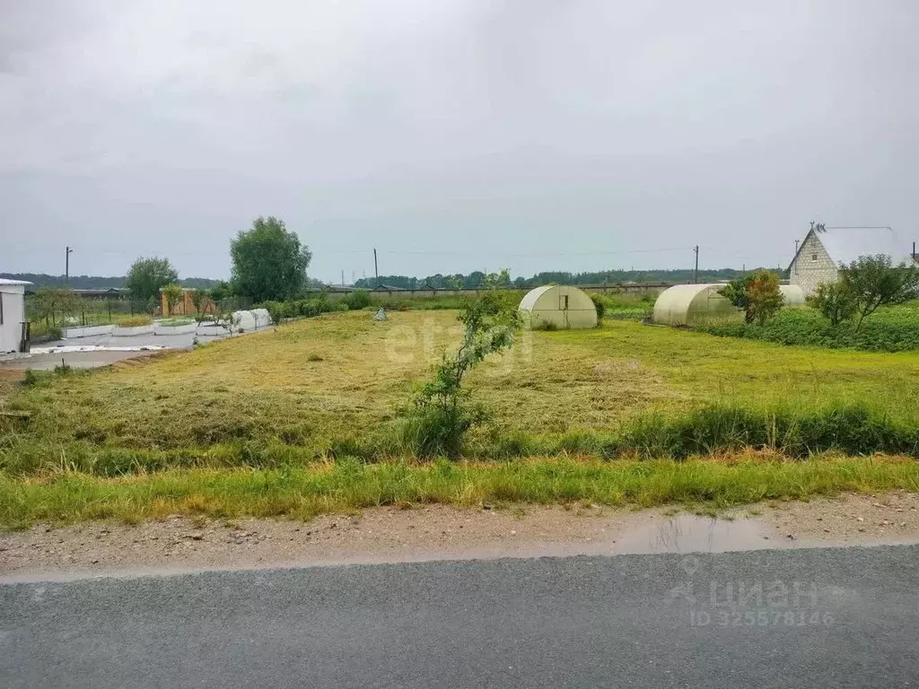 Участок в Калининградская область, Багратионовский муниципальный ... - Фото 1
