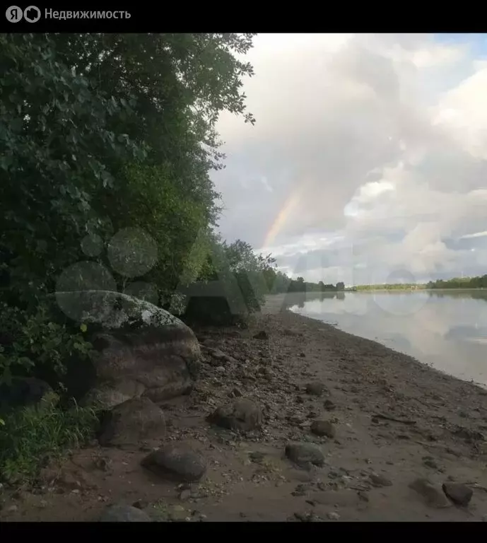 Участок в Пошехонский район, Пригородное сельское поселение, деревня ... - Фото 1