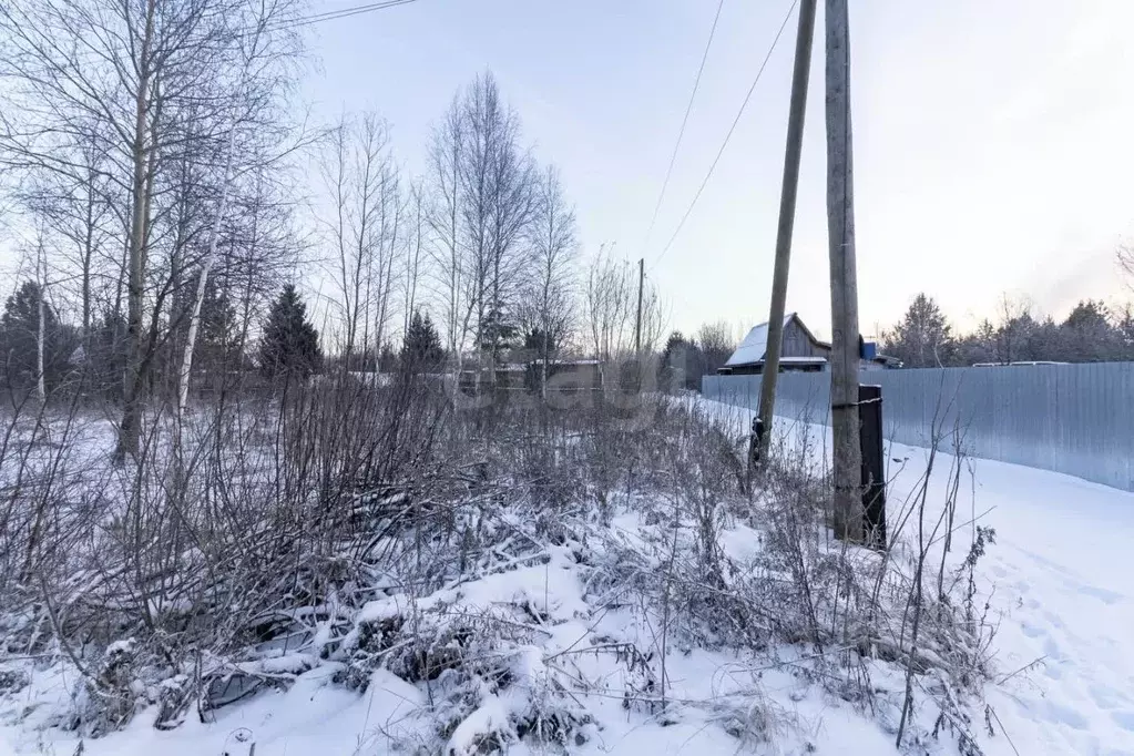 Участок в Тюменская область, Тюменский муниципальный округ, Нива СНТ ... - Фото 1